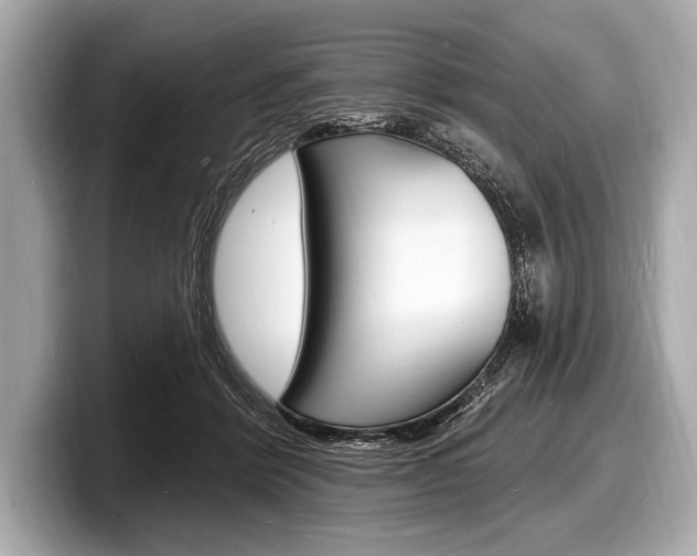 X0000098230412200804241205