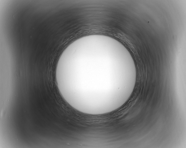 X0000098230415200804241205