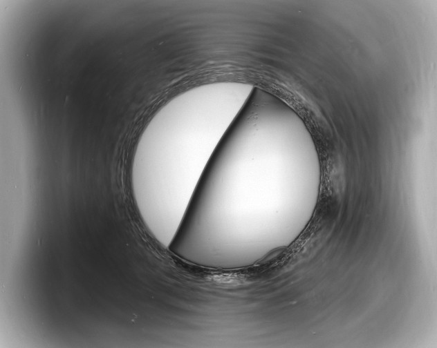 X0000098230417200804241205
