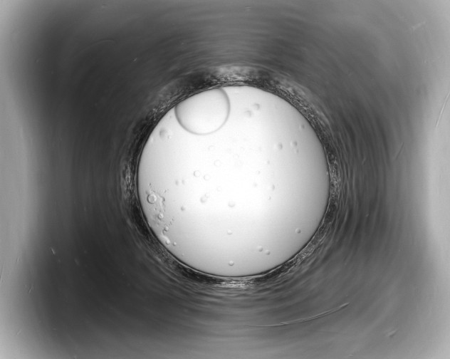 X0000098230418200804241205
