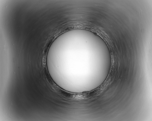 X0000098230419200804241205
