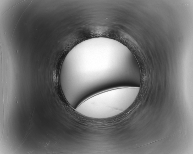 X0000098230420200804241205