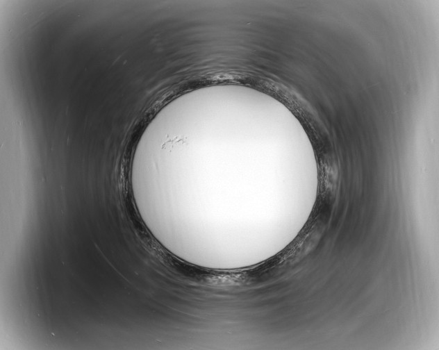 X0000098230422200804241205