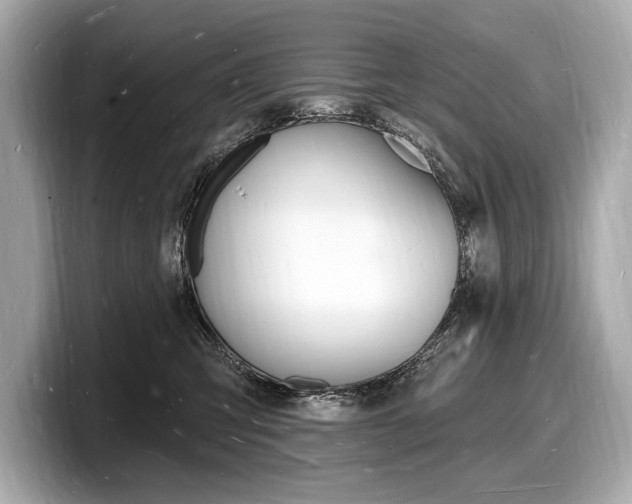 X0000098230423200804241205