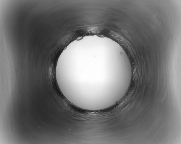 X0000098230424200804241205