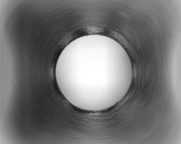 X0000098230426200804241205