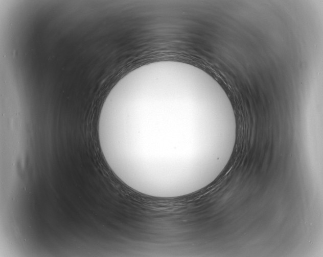 X0000098230427200804241205