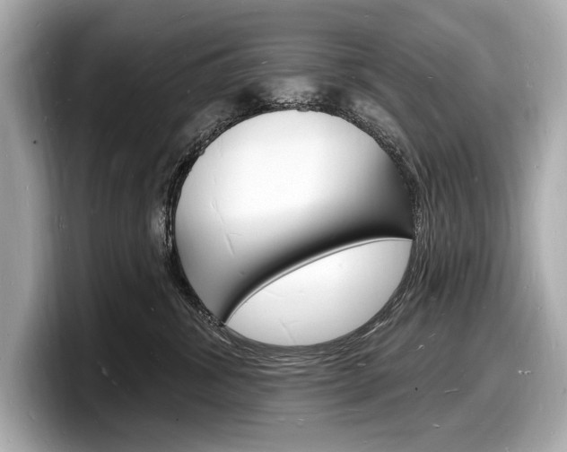 X0000098230428200804241205