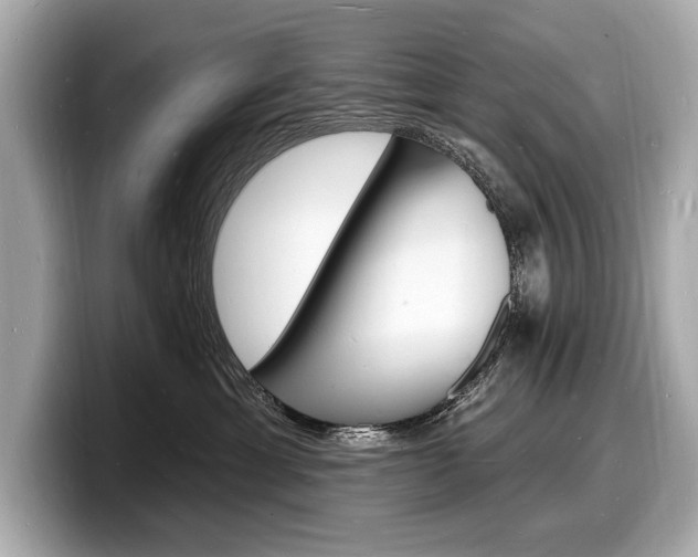 X0000098230429200804241205