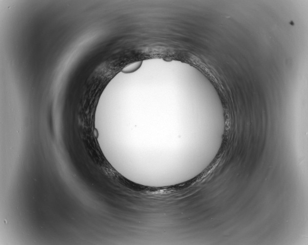 X0000098230430200804241205
