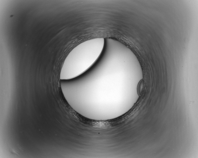 X0000098230432200804241205