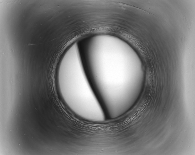 X0000098230434200804241204