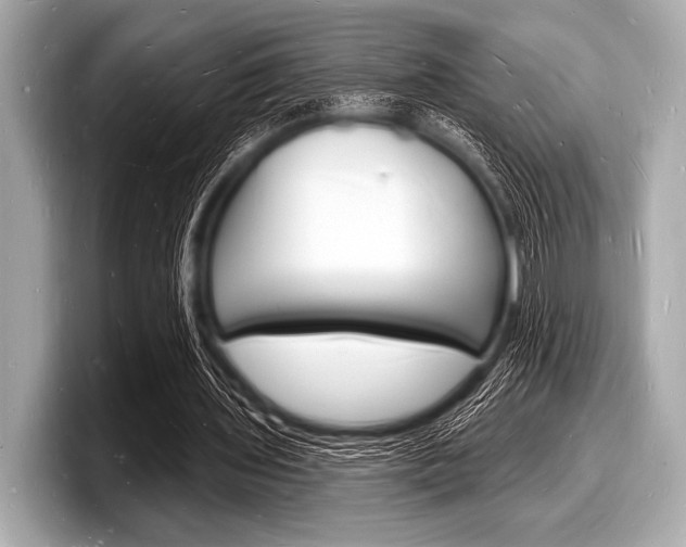 X0000098230435200804241204