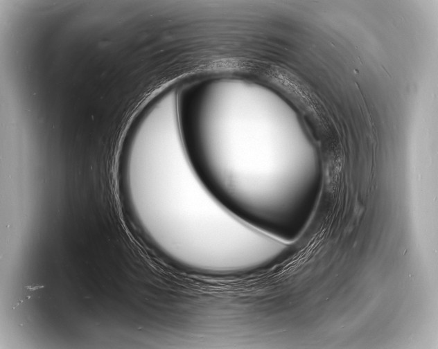 X0000098230436200804241205