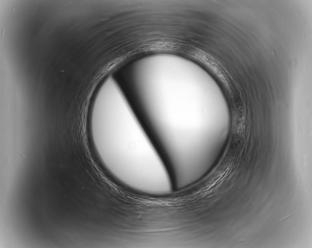 X0000098230437200804241205