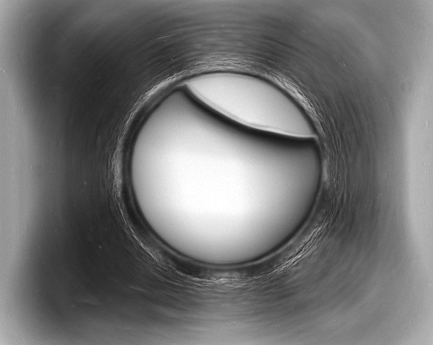 X0000098230438200804241205