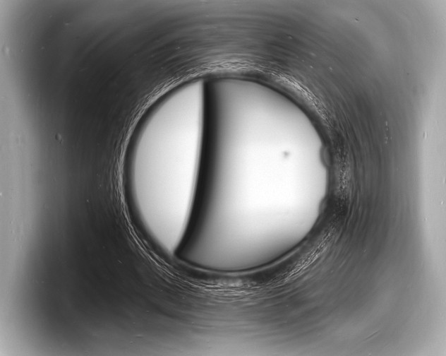X0000098230439200804241205