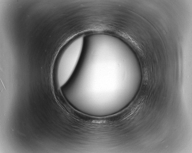 X0000098230440200804241205