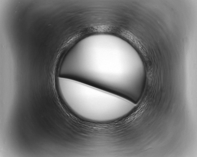X0000098230442200804241205