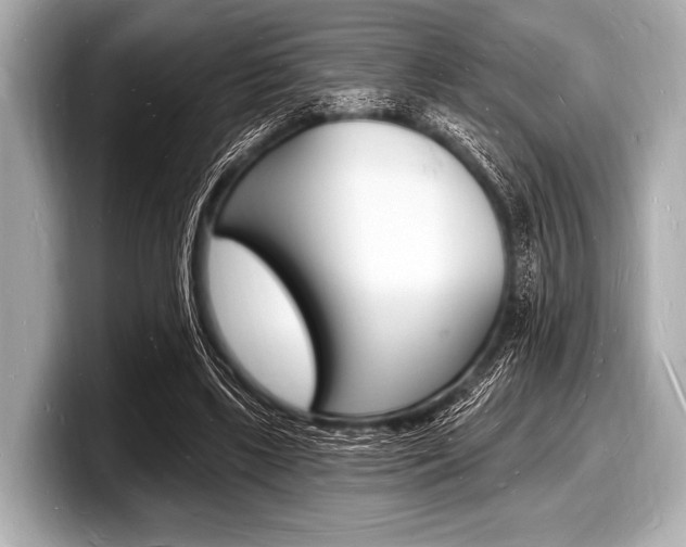 X0000098230443200804241205