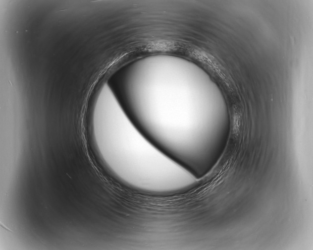X0000098230444200804241205