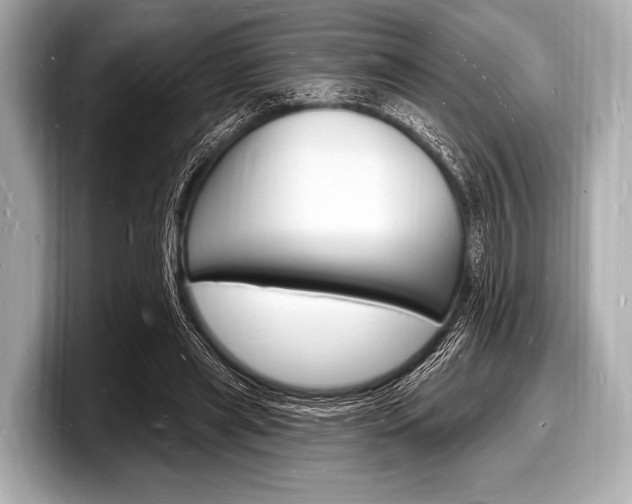 X0000098230445200804241205