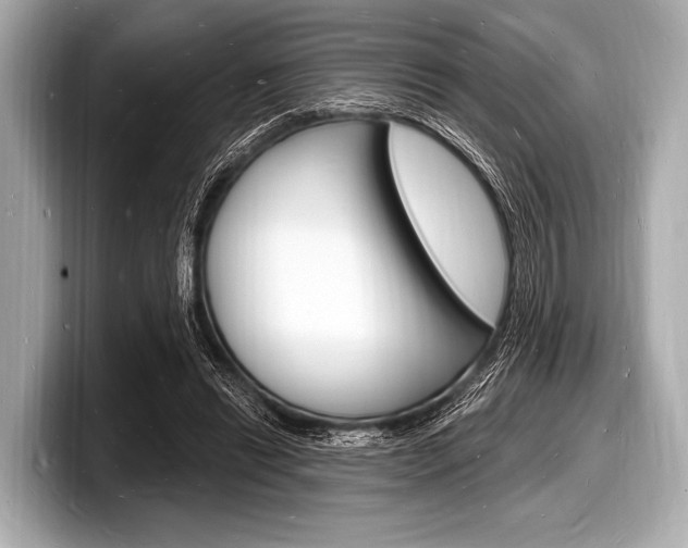 X0000098230446200804241205
