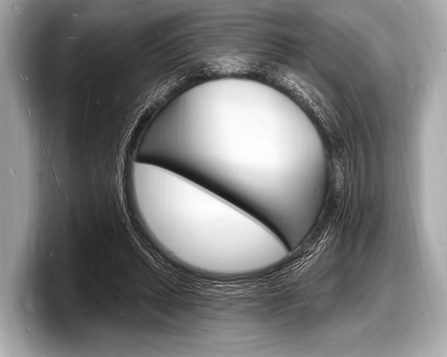 X0000098230447200804241205