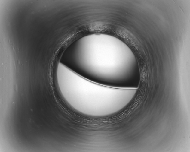 X0000098230448200804241205