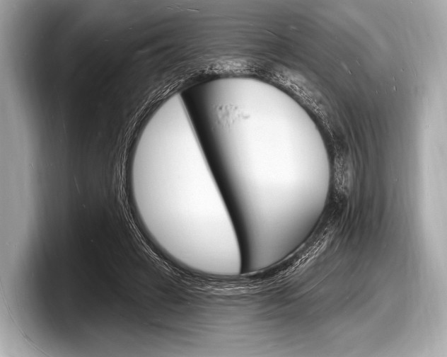 X0000098230449200804241205