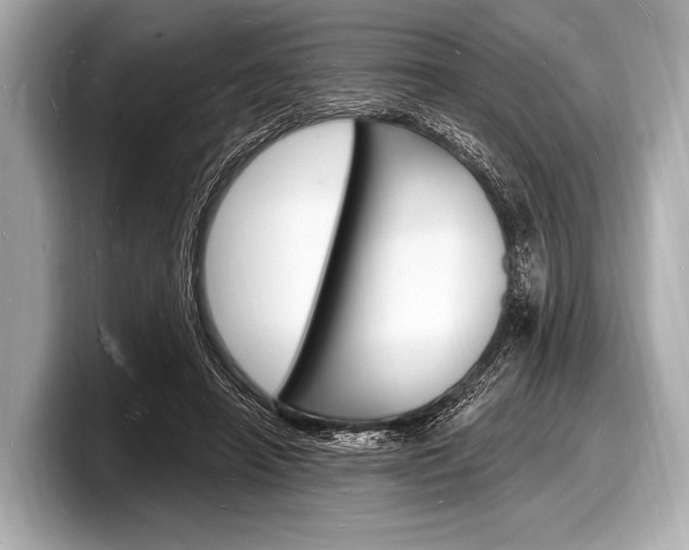 X0000098230450200804241205