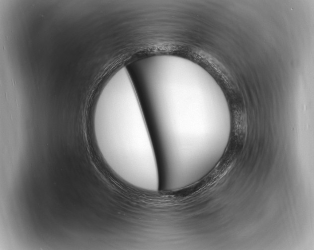 X0000098230451200804241205