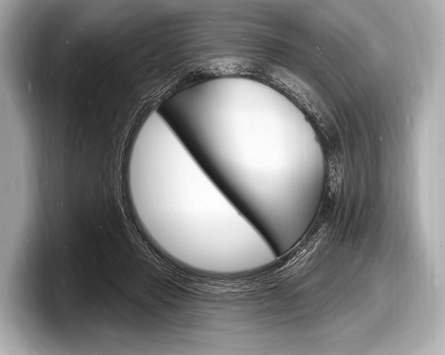X0000098230453200804241205