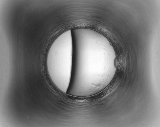 X0000098230454200804241205