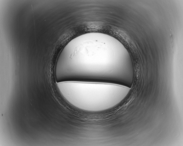 X0000098230455200804241205