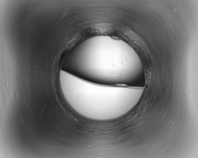 X0000098230456200804241205