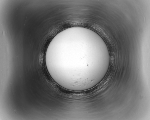 X0000098230458200804241205