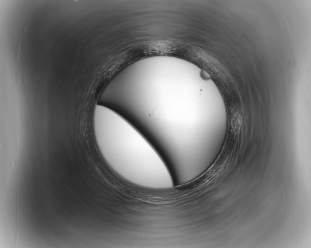 X0000098230459200804241205