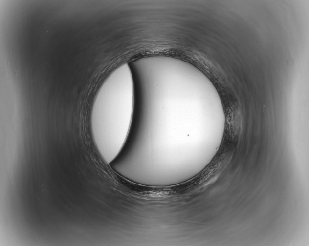 X0000098230462200804241205