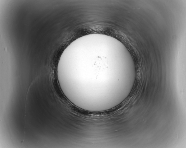 X0000098230464200804241205