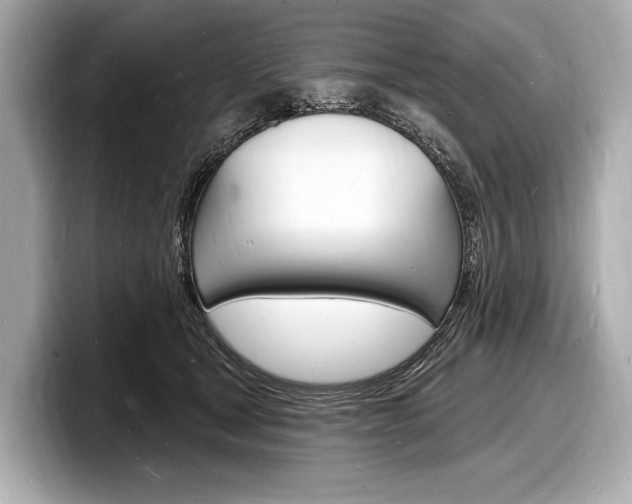 X0000098230465200804241205