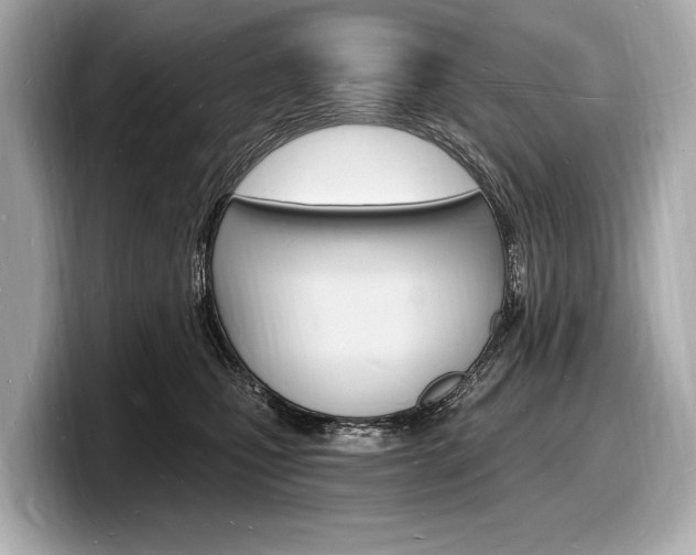 X0000098230471200804241205