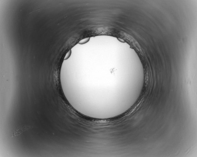 X0000098230473200804241205