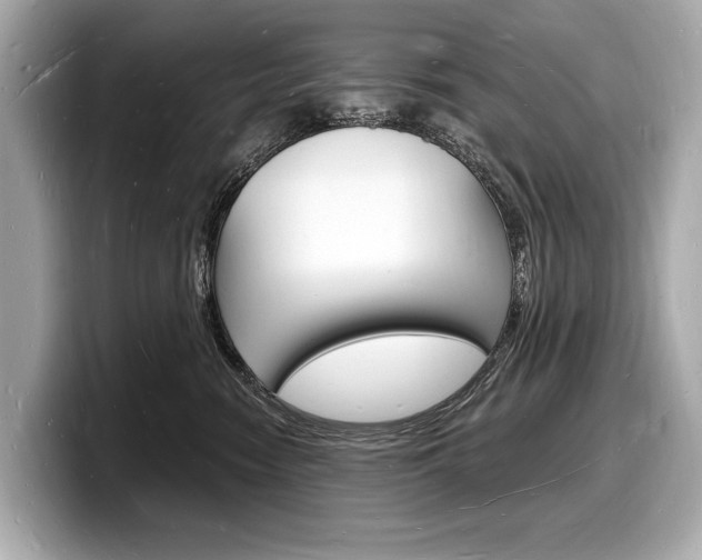 X0000098230474200804241205