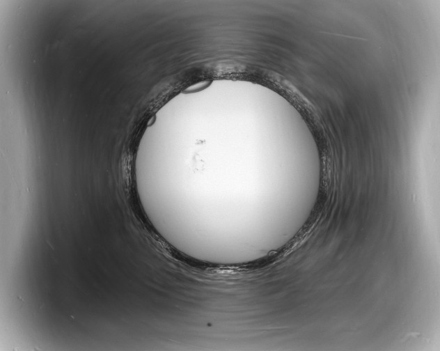 X0000098230475200804241205