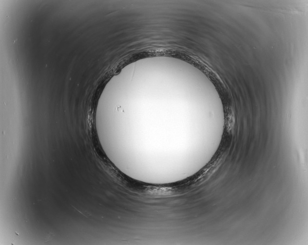 X0000098230476200804241205