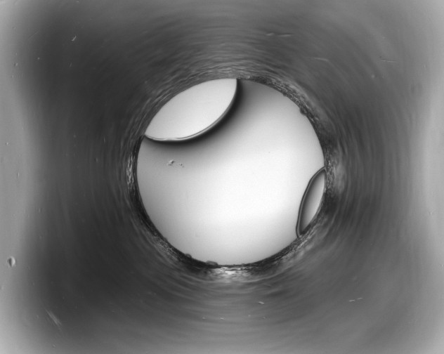 X0000098230477200804241205