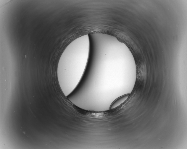 X0000098230478200804241205