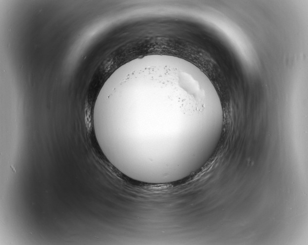 X0000098230479200804241205