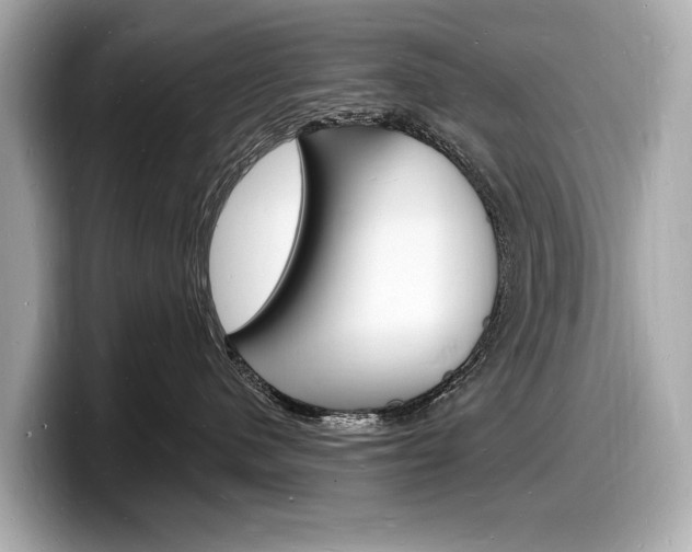 X0000098230480200804241205